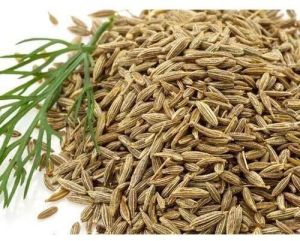 Cumin Seeds