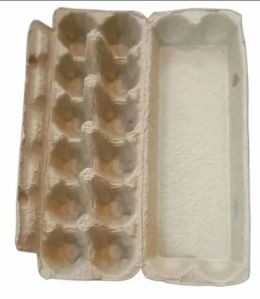 Moulded Pulp Rectangle Egg Tray
