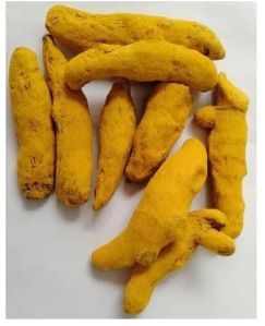 Yellow Turmeric Finger