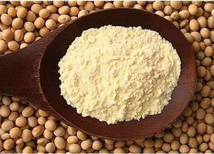 Soybean Protein Concentrate