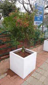 FRP Cubical Planter