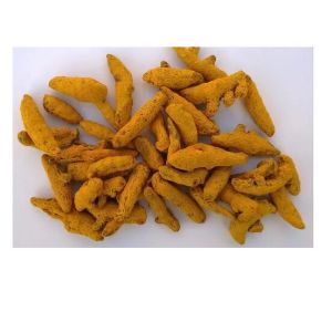 Turmeric Fingers