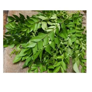 Curry Leaves