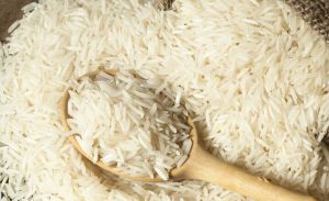 Basmati & Non Basmati Rice