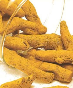 Turmeric Fingers