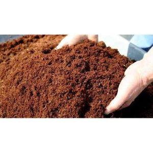 Dry Coco Peat Powder