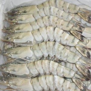 Raw Head-On Shell-On Black Tiger Prawn