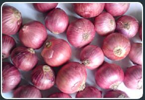 Small Nashik Onion