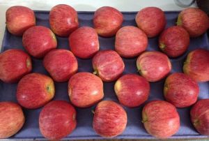 Fresh Royal gala and Red delicious apples and pears