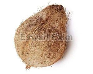 High Quality Husked Coconut