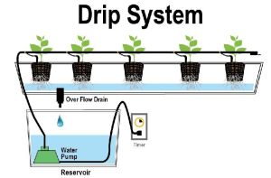 Drip Irrigation Systems