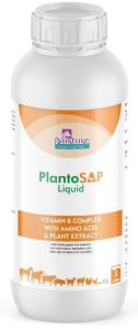 Plantosap Liquid (Vitamin B Complex With Amino Acid &amp; Plant Extract)