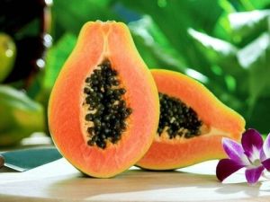 Papaya