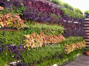 vertical garden