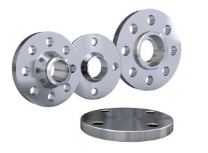 Stainless Steel Flanges