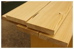 Southern Yellow Pine