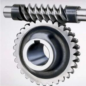 Mild Steel Worm Gear