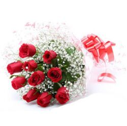 Charming Red Roses