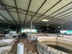 Recirculating Aquaculture System