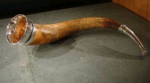 Big Drinking Horns