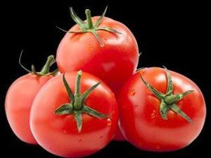 Fresh Tomato