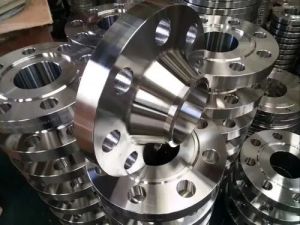 SS Weld Neck Flanges