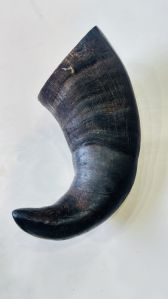 BUFFALO HORN DOG CHEW