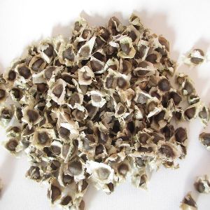 Dried Moringa seeds