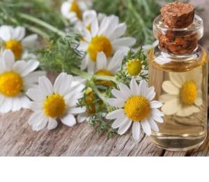 Chamomile Essential Oil