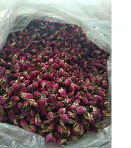 Red Rose Buds