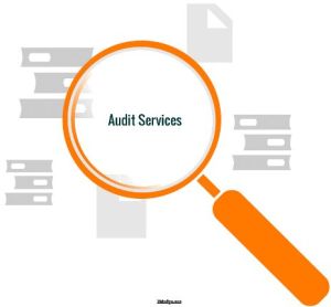 stock audit services