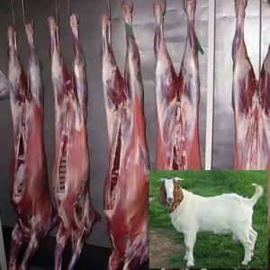 Goat Meat