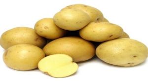 pukhraj potato