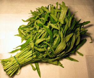 Water Spinach Leaves