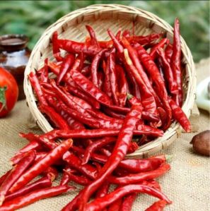 natural dried red chilli