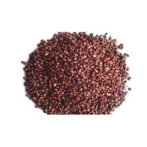 Basil Seed