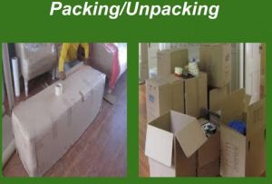 Packing/Unpacking Services