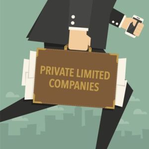 private limited company registration service