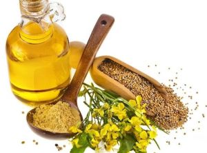 Yellow Mustard Oil