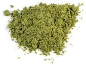 Wheat Grass Powder