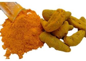 Premium Quality Turmeric Powder