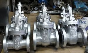 WC Gate Valve