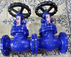 Wcb Globe Valve