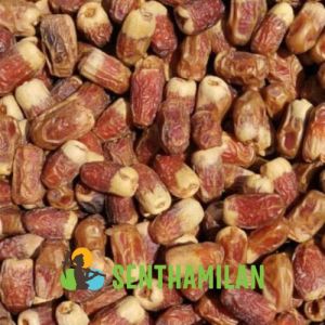 Saudi Sigayi Dates