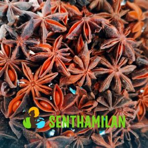 Star Anise