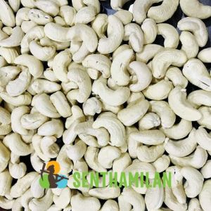 W450 Benin Cashew Nuts