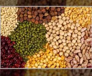 Indian Pulses