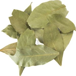 Bay Leaf