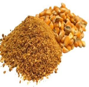 CORN MEAL DDGS 26% FOR ANIMAL FEED