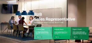 B2B Sales Representative